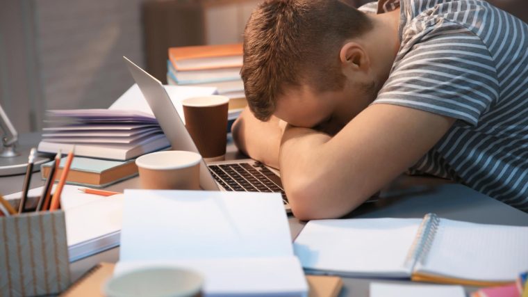 Scuole paritarie a Fasano